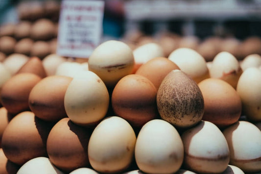 Las diferentes formas de cocinar huevos: de suave a horno a horno